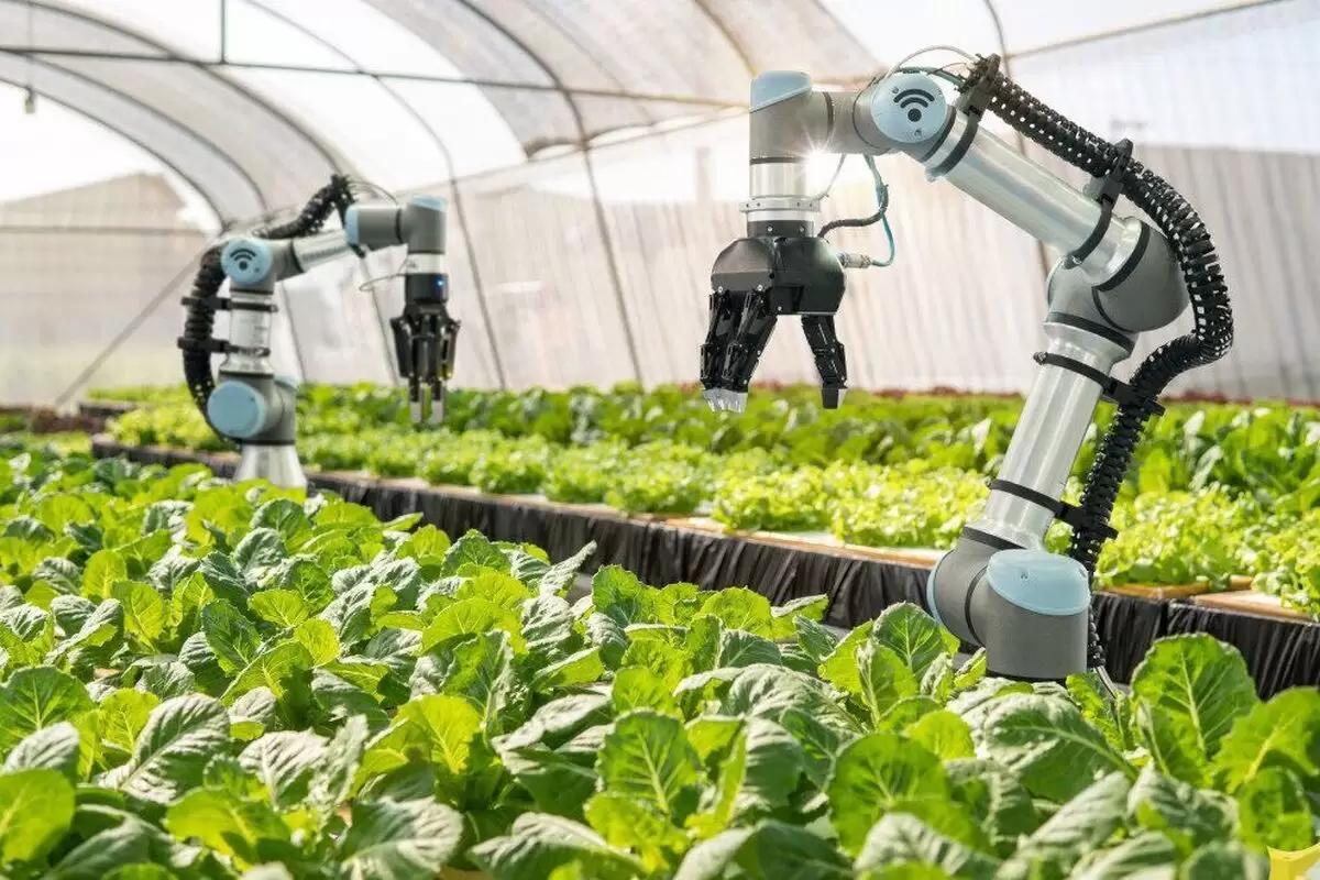 ربات‌ها کشاورزی سنتی را متحول می‌کنند