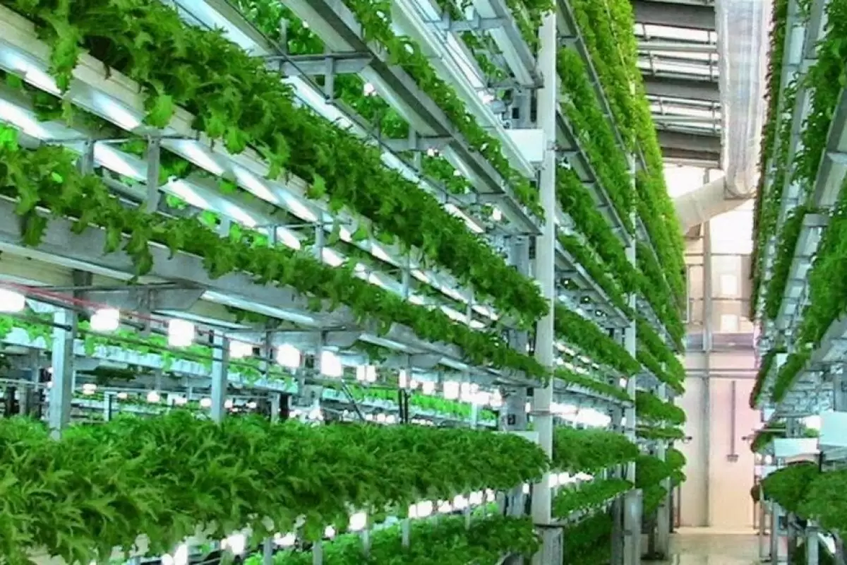 رونمایی از مزرعه عمودی ۲۰ طبقه در چین