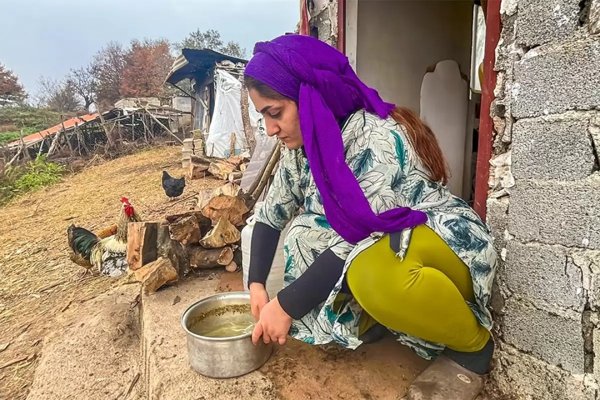 (ویدئو) پخت یک غذای سنتی با مرغ توسط یک بانوی خوش سلیقه روستایی مازندرانی
