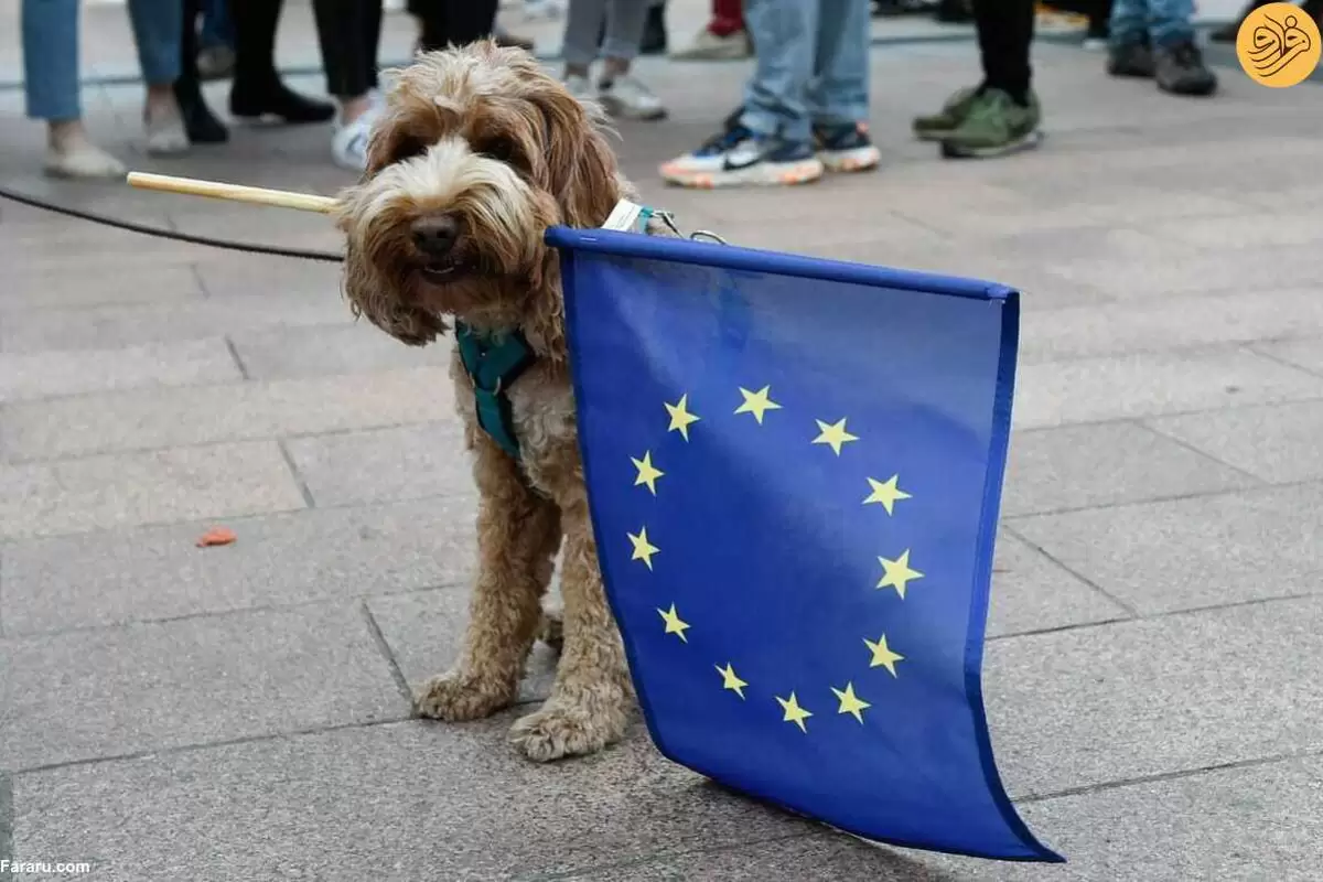 (ویدئو) واق واق سگ در پارلمان اروپا