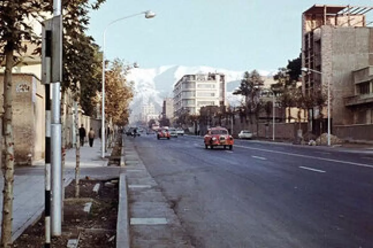 (عکس) بوقلمون چرانی در خیابان‌های تهران قدیم