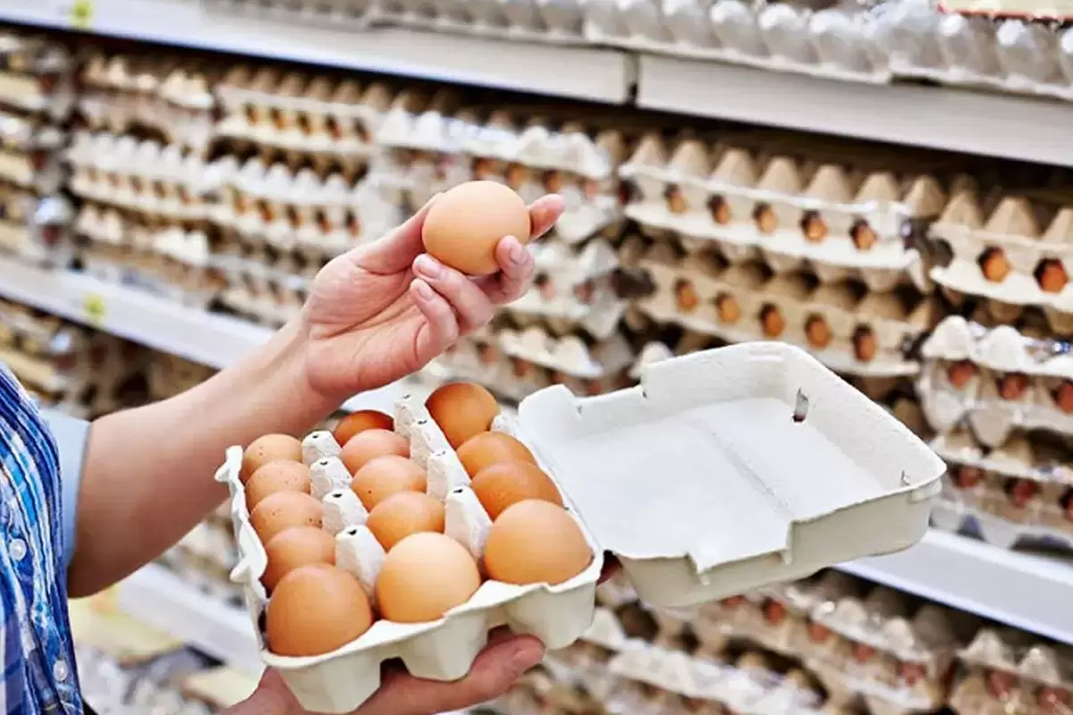 قیمت مصرف‌کننده تخم‌مرغ بسته‌بندی‌شده اعلام شد