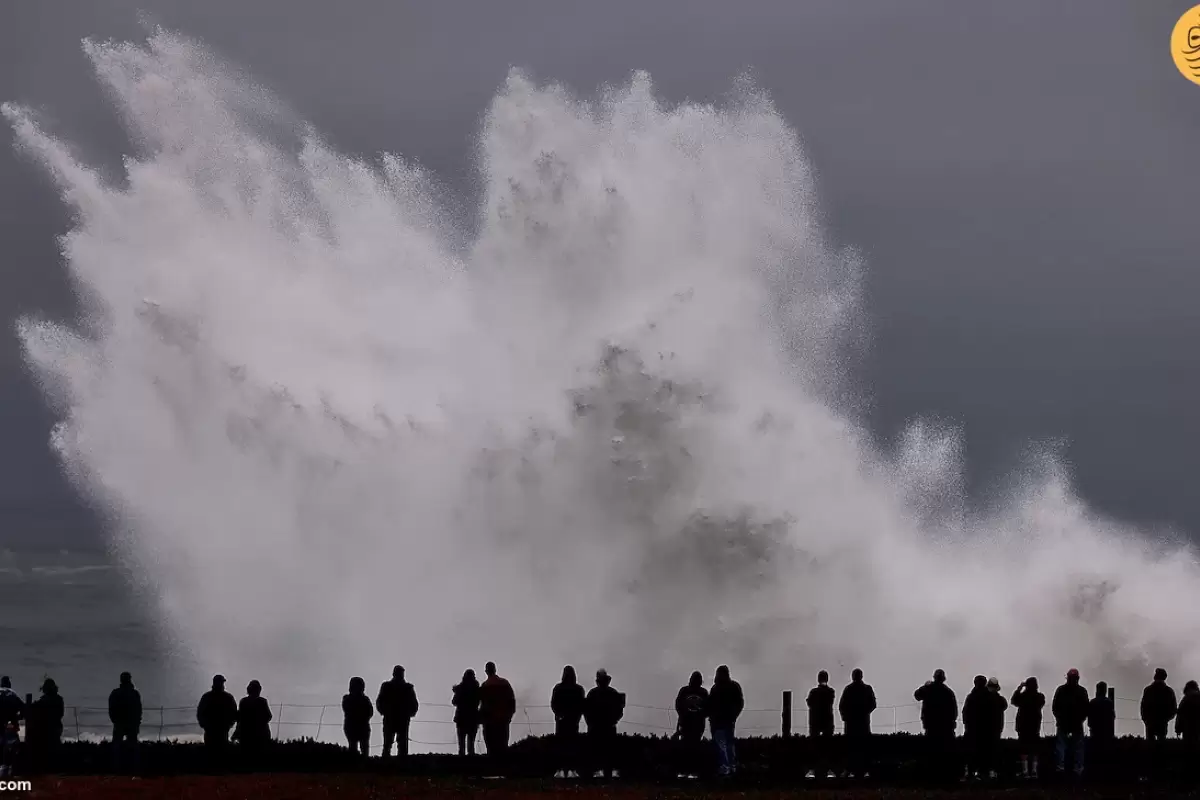 (ویدئو) وحشت ساکنان سواحل ونتورا از برخورد امواج غول پیکر اقیانوس