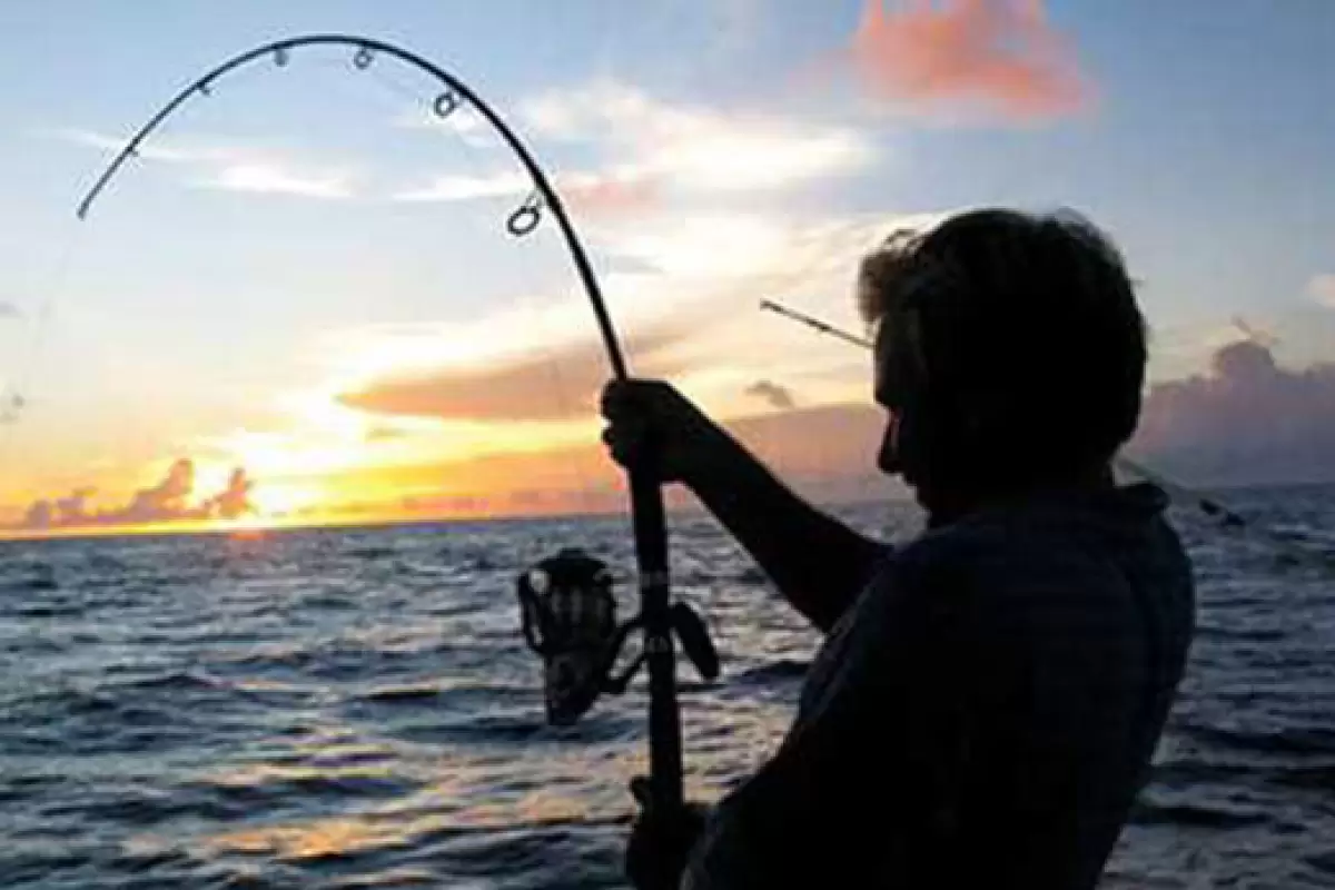 ببینید | ماهی‌گیری ناجوانمردانه با شوک الکتریکی