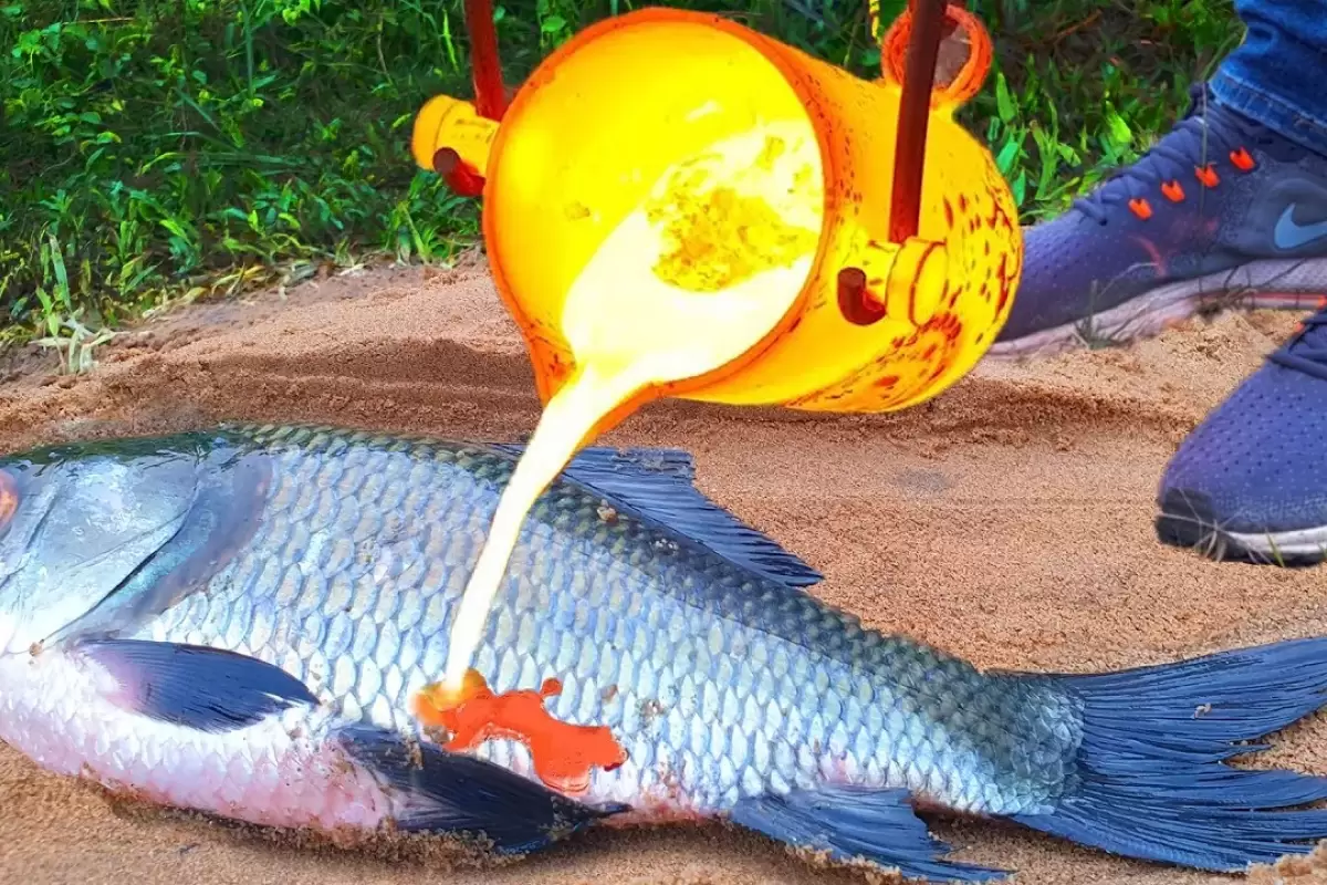 (ویدئو) اگر روی ماهی 5 کیلوگرمی مواد مذاب بریزید، چه اتفاقی می افتد؟