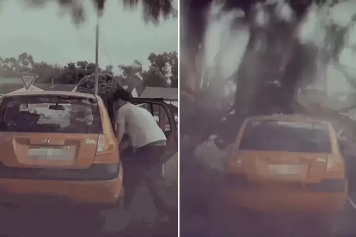 (ویدئو) فرار به موقع راننده خوش شانس از برخورد صاعقه به درخت