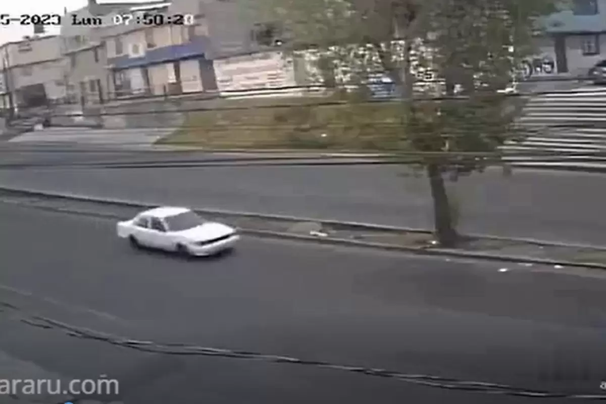 (ویدئو) متلاشی شدن یک خودرو پس از برخورد با درخت!