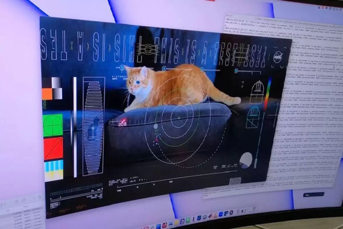 (ویدئو) شاهکار بزرگ ناسا؛ گربه‌ای که با لیزر از فضا به زمین رسید