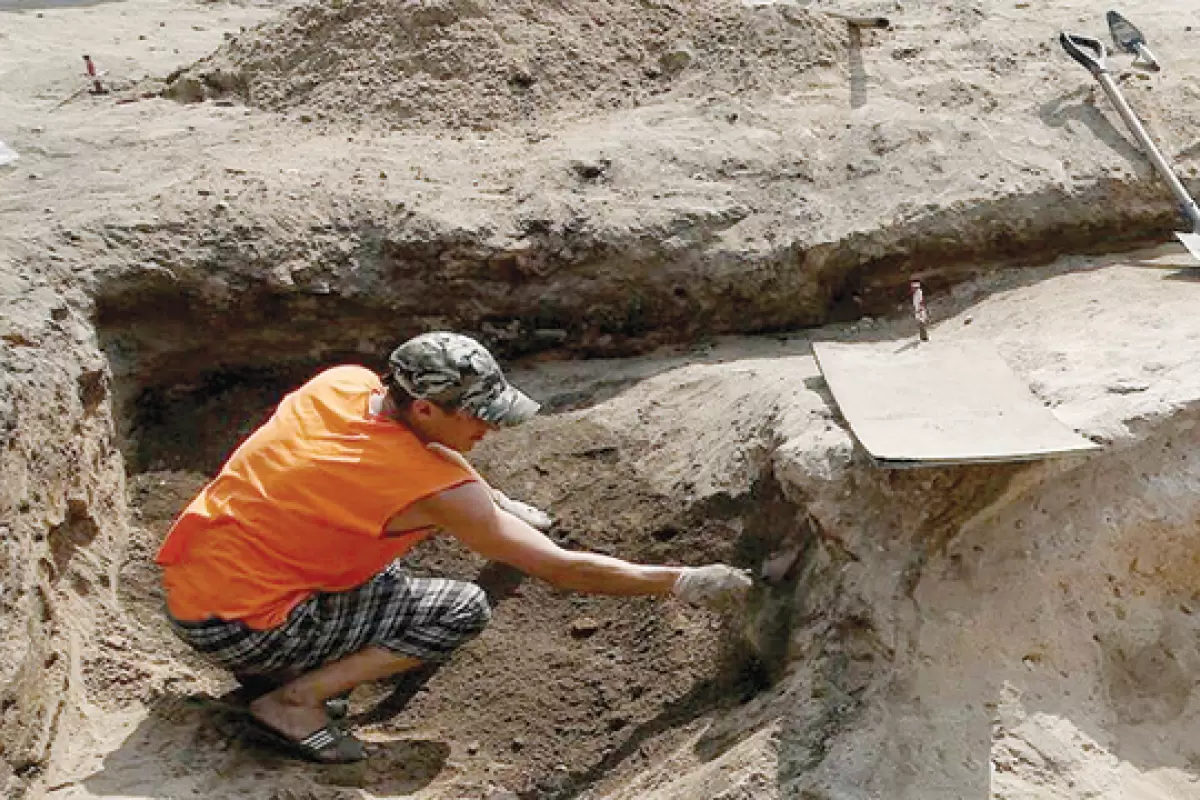 جمجمه یک شتر ۲.۵ میلیون‌ ساله در تاجیکستان کشف شد