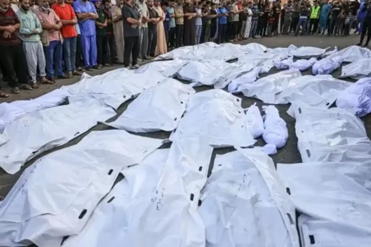 اسرائیل اعضای بدن شهدای غزه را سرقت می‌کند