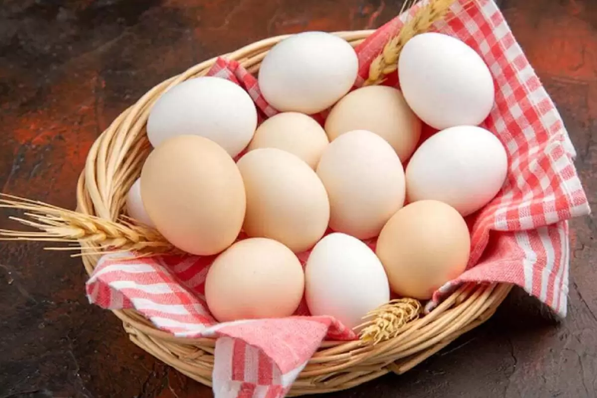 (ویدئو) ۵ ایده خلاقانه برای استفاده مجدد از پوست تخم مرغ