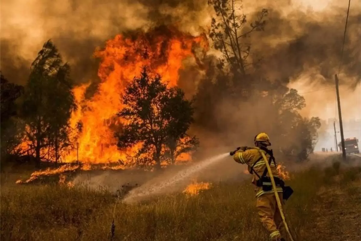 ببینید | ویدیوی جدید از آتش‌سوزی‌ مهیب در شیلی؛ صدور دستور تخلیه منازل