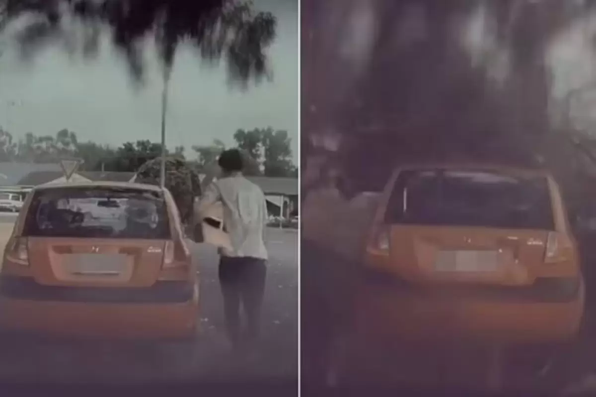 (ویدیو) نجات معجزه‌آسای مردی هنگام برخورد صاعقه‌ با درخت کنار خودرو
