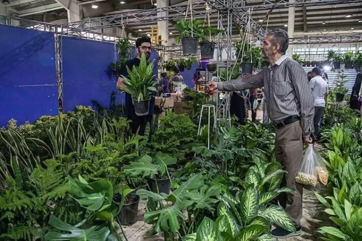 نمایشگاه "گل و گیاه" در شیراز برپا می‌شود