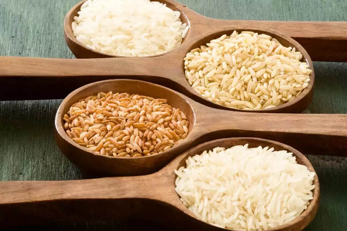 خواص و مضرات برنج؛ طبع برنج سفید گرم است یا سرد؟