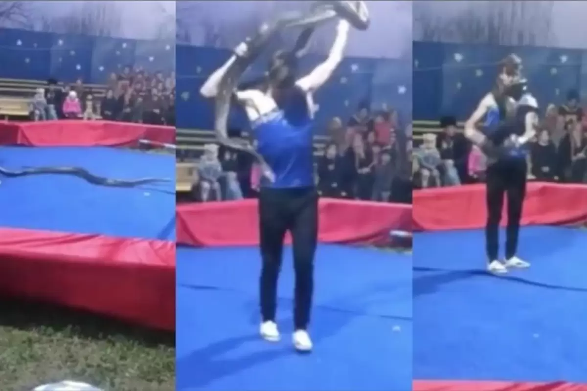 (ویدئو) مار عظیم‌الجثه هنرمند سیرک را خفه کرد!