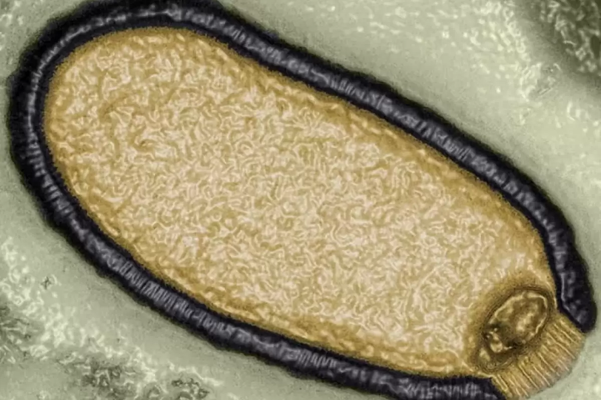 هشدار دانشمندان؛ خطر شیوع «ویروس‌های باستانی» جدی است