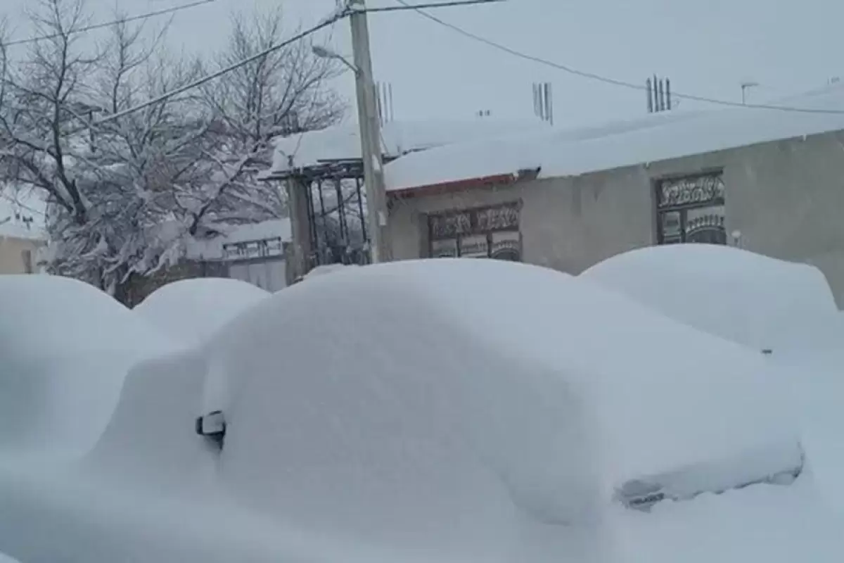 (ویدیو) ورزقان زیر برف رفت