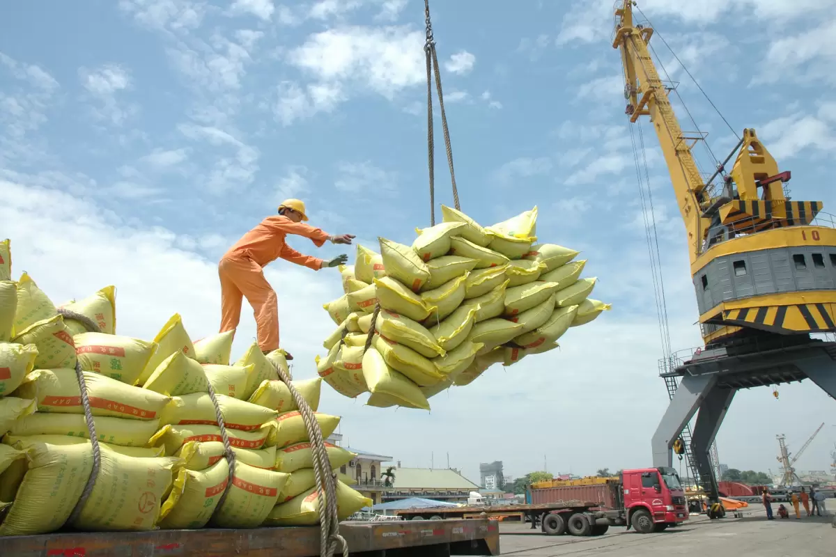 اختلاف 120 میلیون دلاری واردات برنج میان گمرک و وزارت جهاد