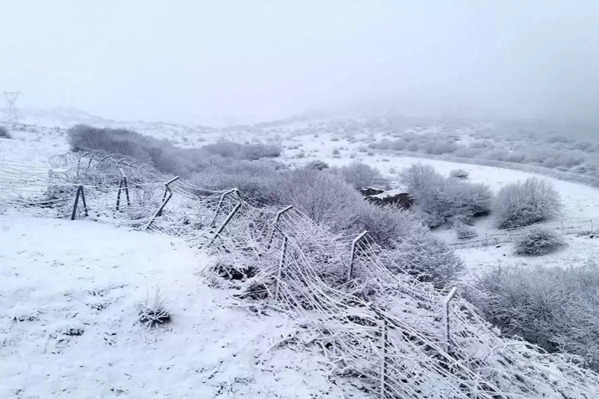 برف در تهران دردسرساز شد
