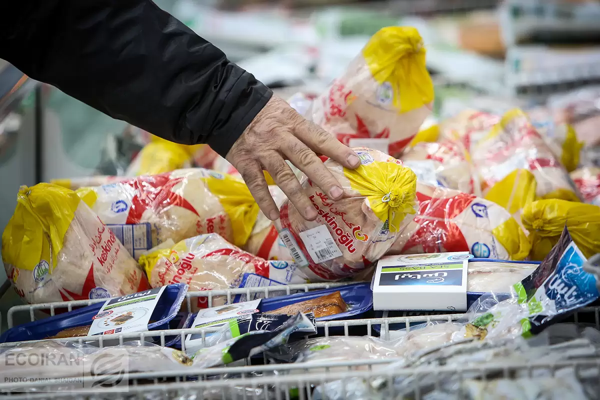 کاهش عرضه مرغ در بازار؛ قیمت مرغ در آذر 8 درصد افزایش یافت
