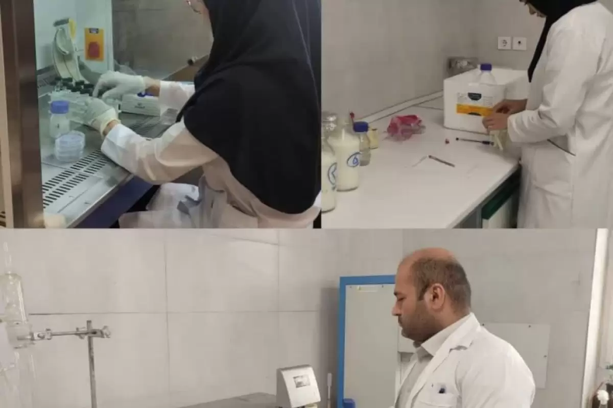آغاز آزمایشات میکروبی و تقلبات شیر آزمایشگاه مرکزی اداره کل دامپزشکی استان