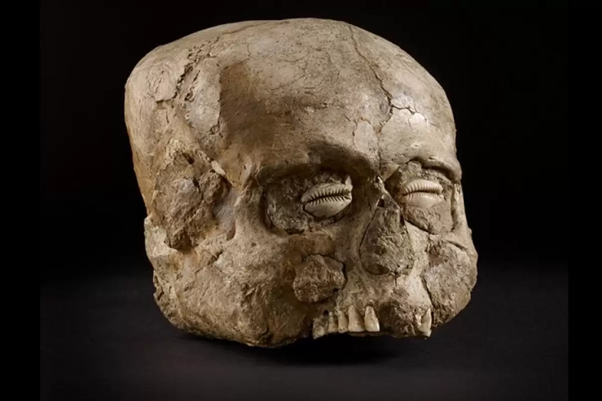 (تصاویر) معمای «جمجمه‌های گچی» 9 هزارساله که در خاورمیانه کشف شدند
