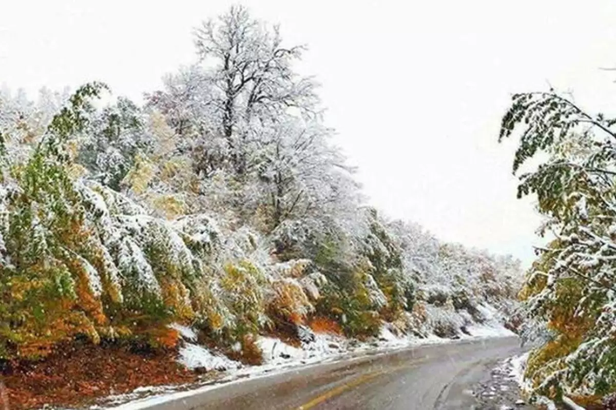 (ویدئو) تصاویر هوایی زیبا از حجم بارش برف در مازندران!