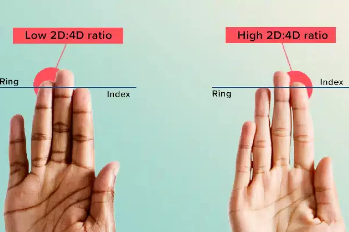 طول انگشتان شما در مورد شخصیتتان چه می گوید؟