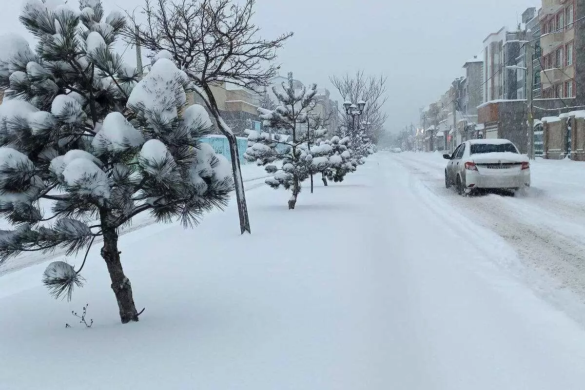 (ویدئو) حجم باورنکردنی برف در تهران؛ بارش برف یک متری در این منطقه