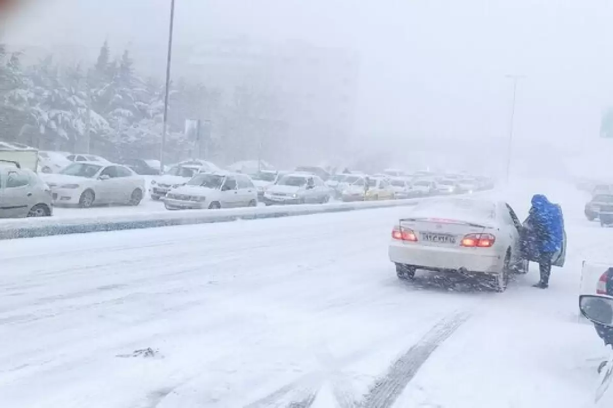 ببینید | بارش برف در آخرین ماه زمستان در اردبیل