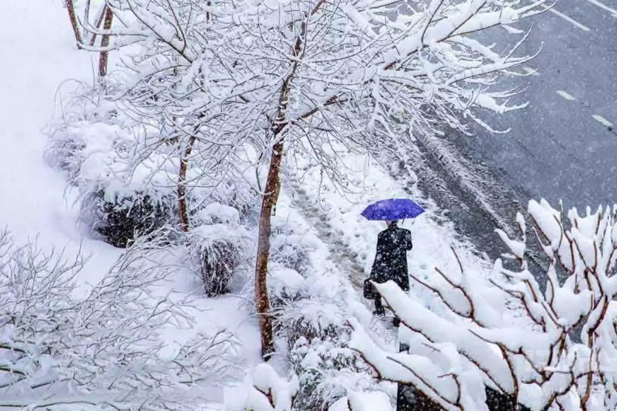 در این محله تهران، نیم‌متر برف بارید + عکس