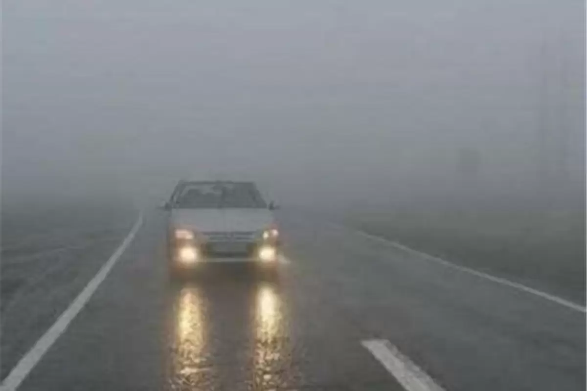 ببینید | تصاویر جدید از هوای بارانی و مه‌آلود جاده چالوس!