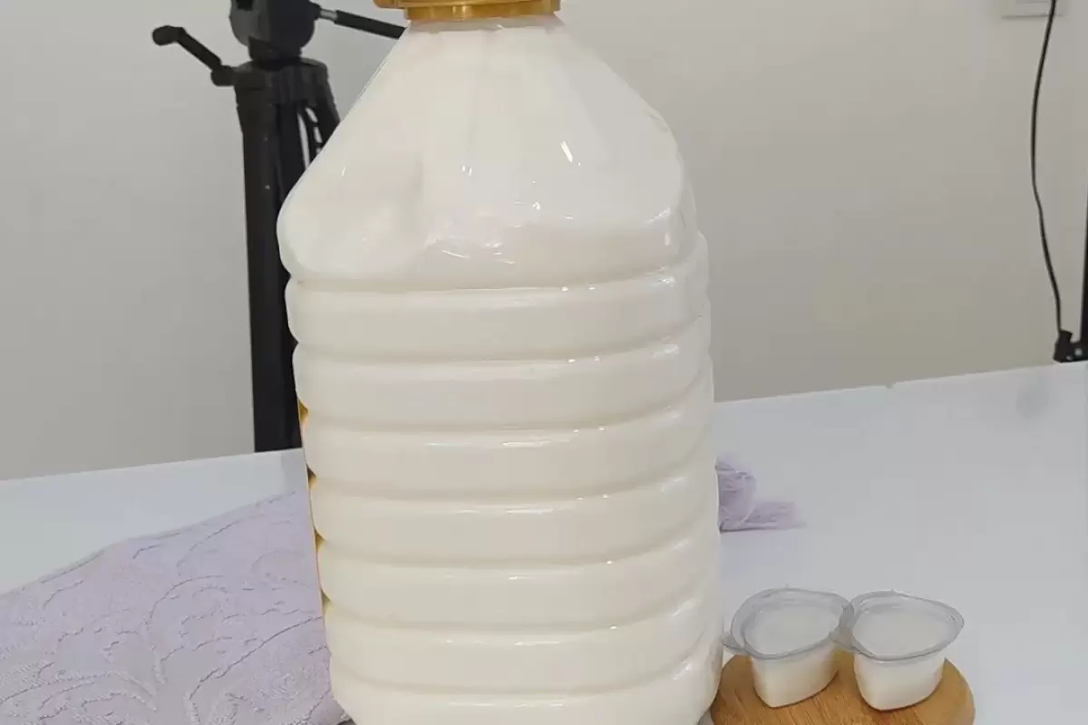 (ویدئو) چگونه با 5 کیلو شیر مثل آب خوردن ماست خوشمزه در خانه تهیه کنیم؟