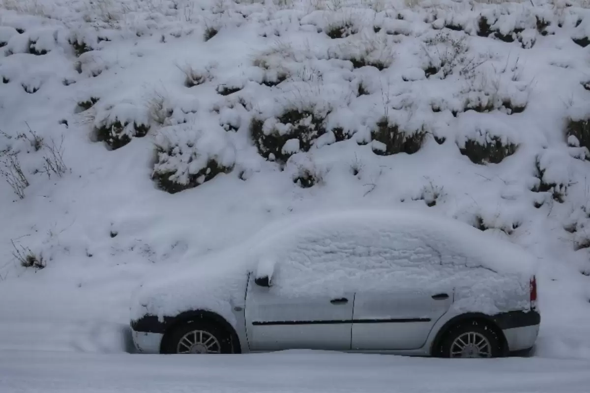 دفن شدن خودروهای بانه زیر برف/ فیلم