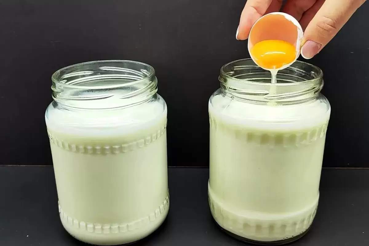 (ویدئو) چگونه با 2 کیلوگرم شیر یک کیلوگرم پنیر خانگی خوشمزه درست کنیم؟