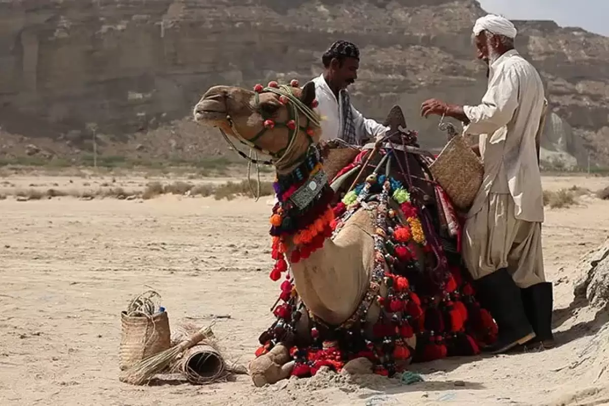 تماشای شکوه سیستان و بلوچستان در قاب  شبکه مستند