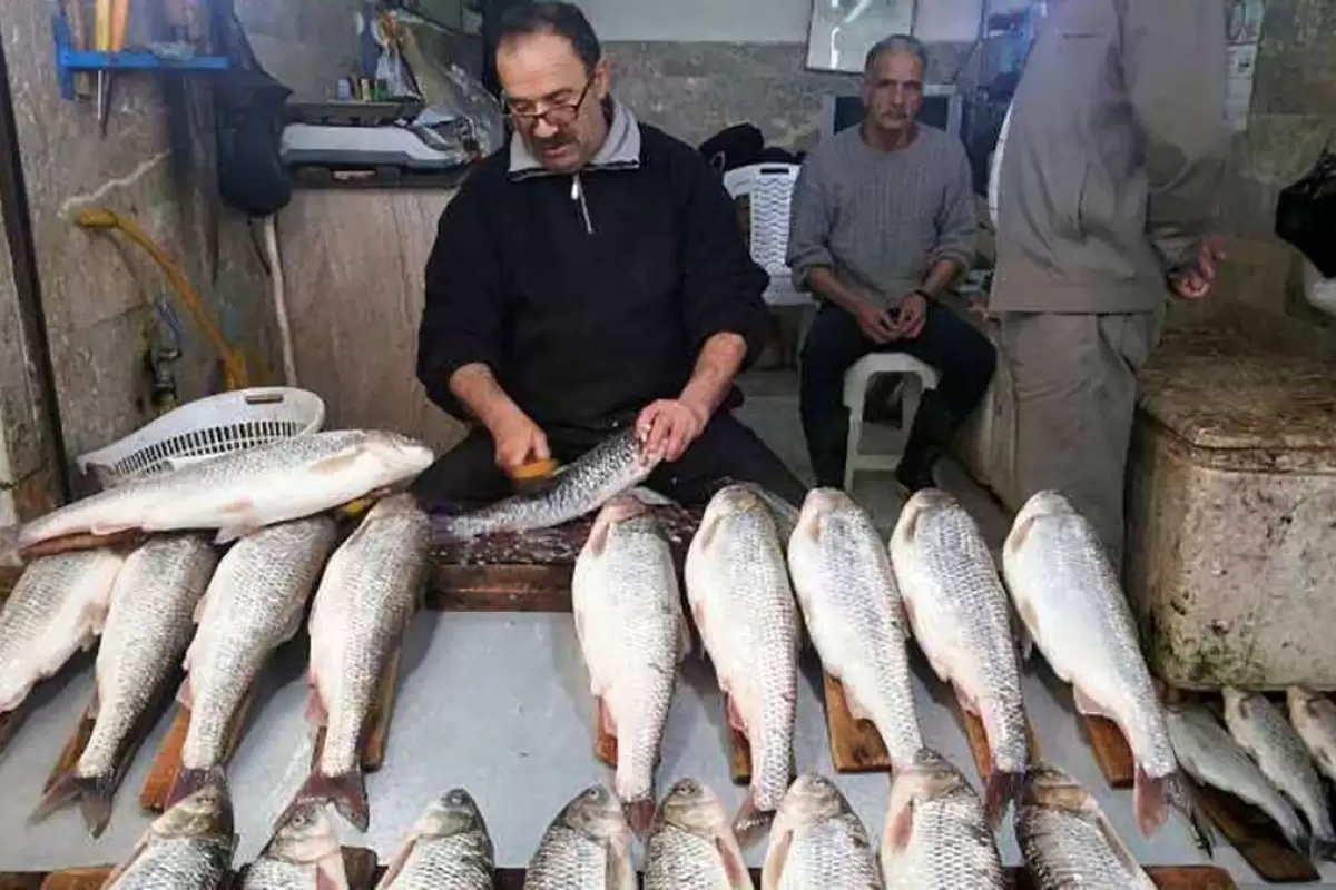 (ویدئو) ماجرای فروش ۵۱ میلیون تومانی ماهی در بازار فریدونکنار