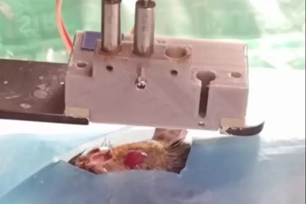 برای نخستین بار در جهان؛ چاپ سه بعدی این بخش از بدن حین جراحی