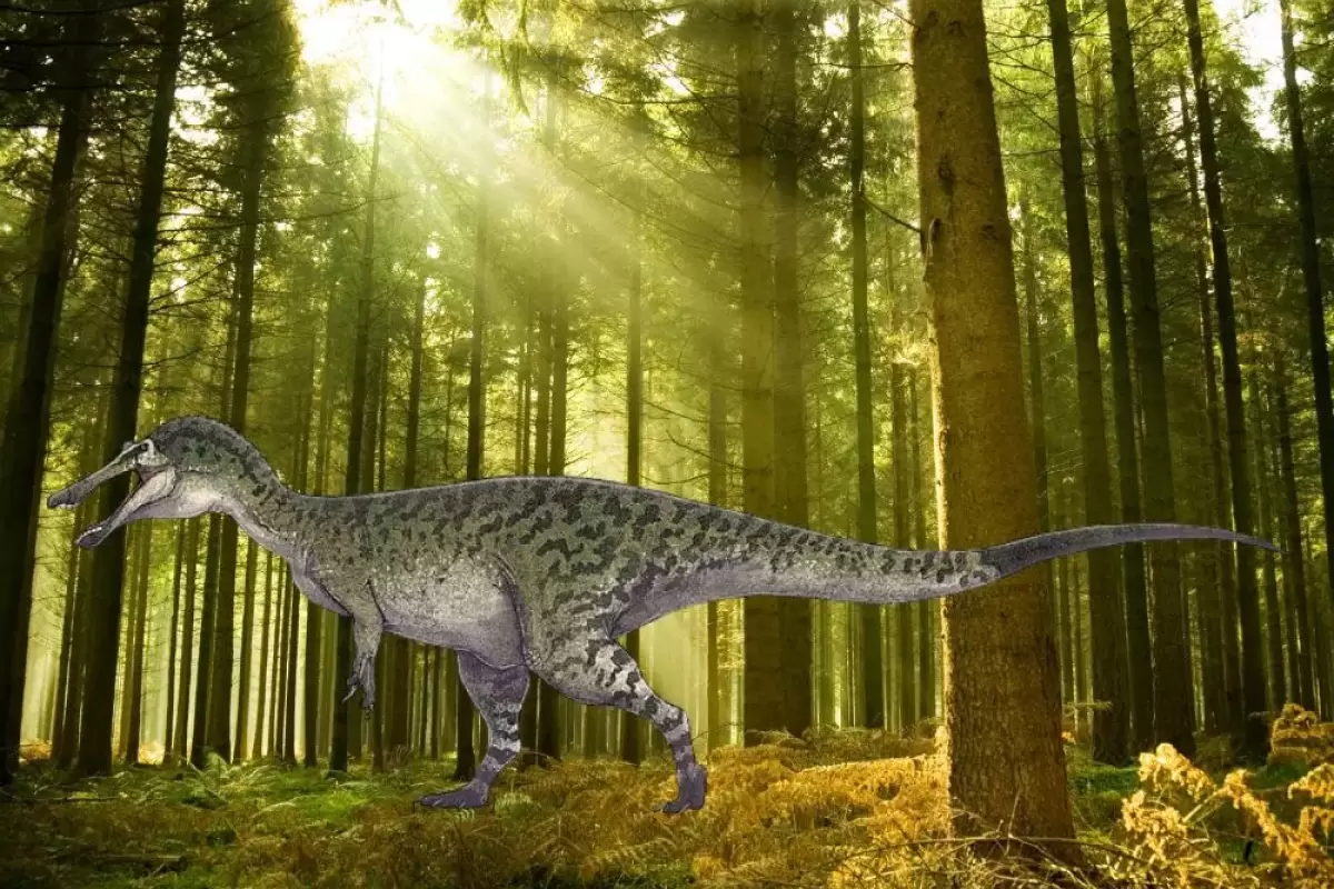 (عکس) جزئیات کشف گونه جدیدی از این دایناسور