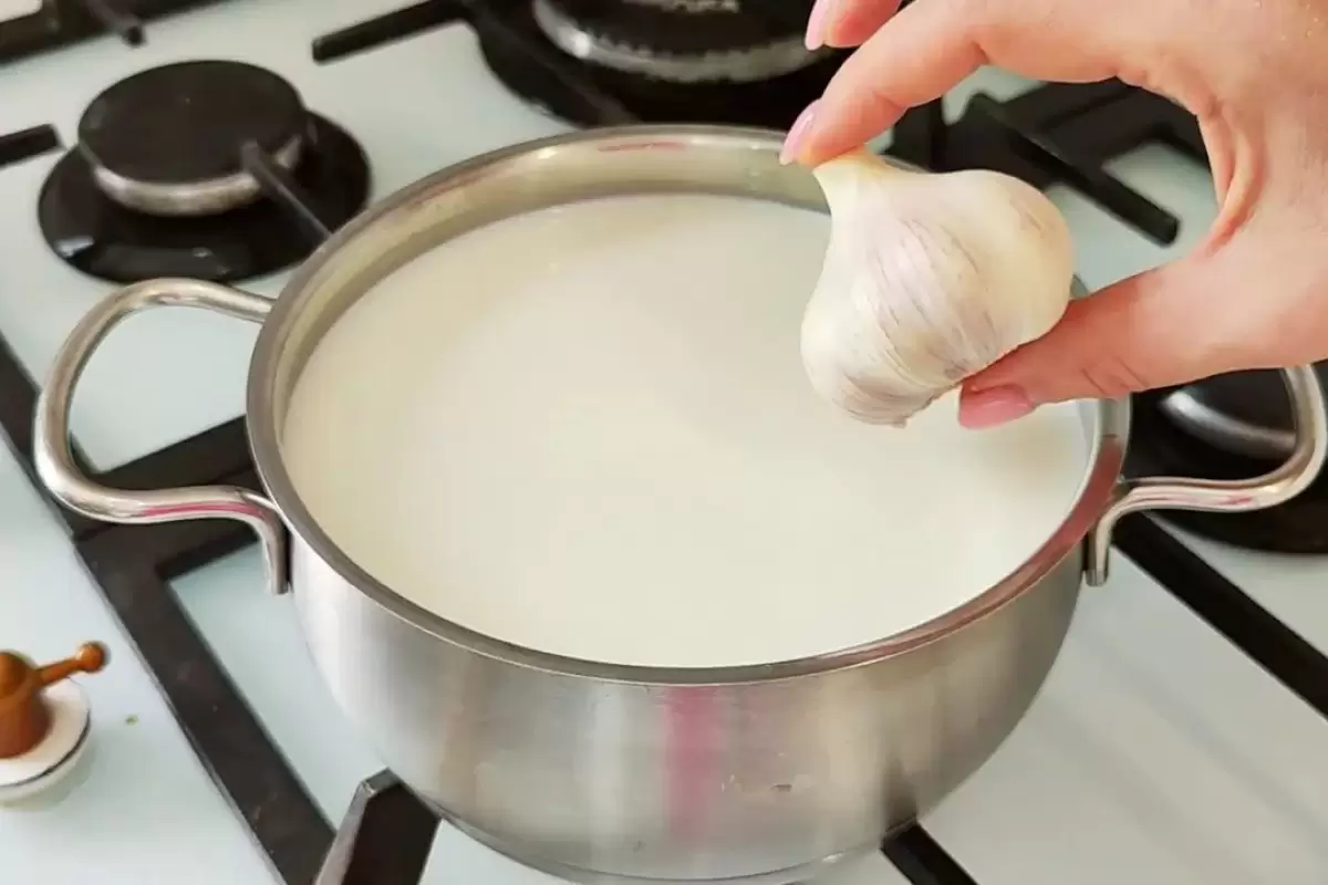 (ویدئو) نحوه درست کردن پنیر با شیر و سیر به روش آلمانی ها!