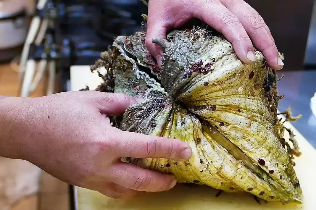 (ویدئو) غذای خیابانی در ژاپن؛ برش و سرو صدف غول پیکر