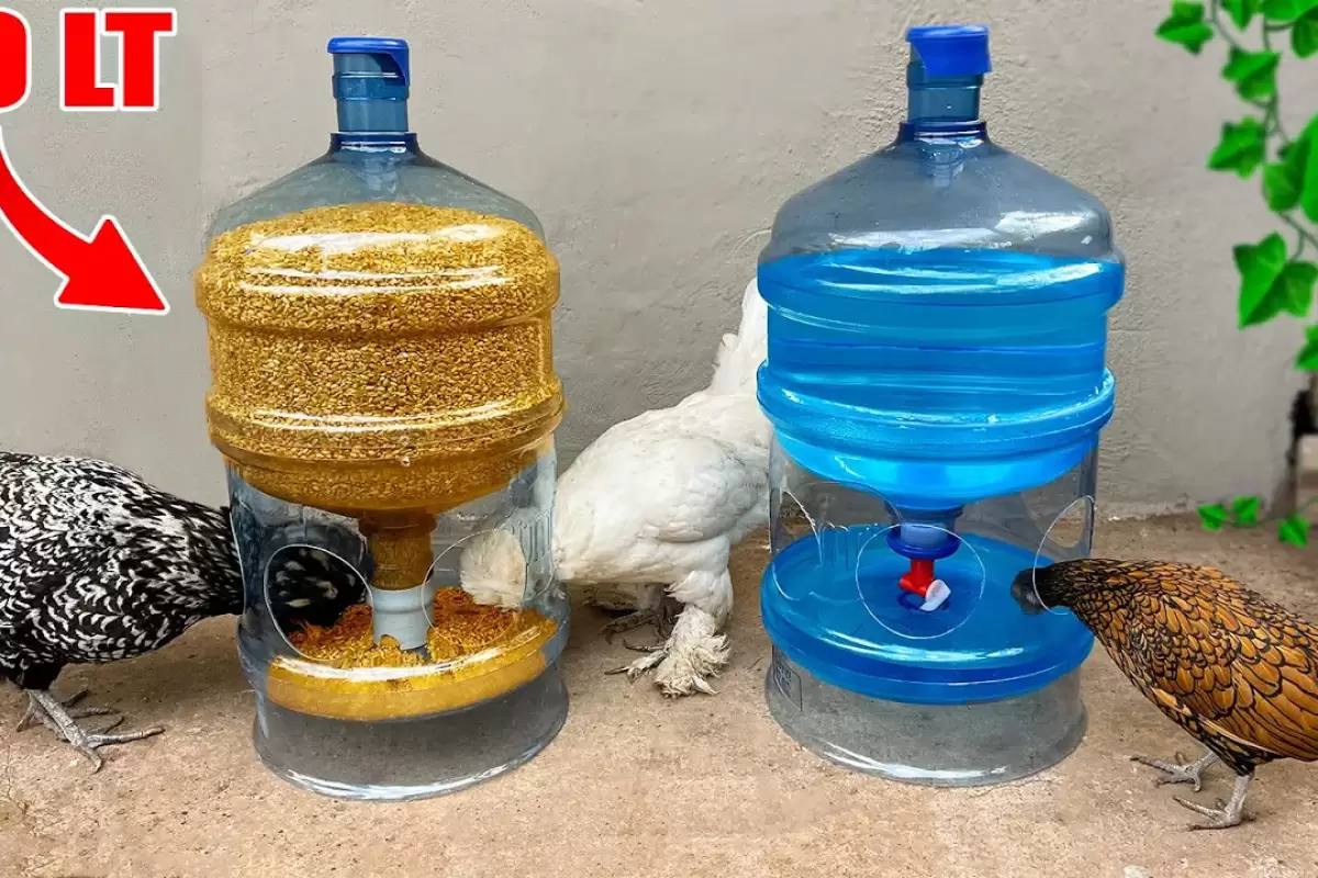 (ویدئو) نحوه ساخت دانخوری و آبخوری برای مرغ و خروس ها با بطری 20 لیتری