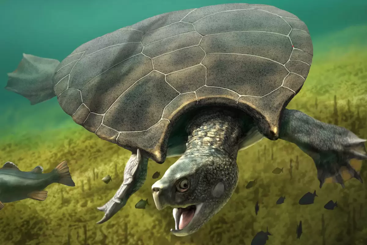 لاک‌پشت غول‌پیکر دنیای واقعی کشف شد!