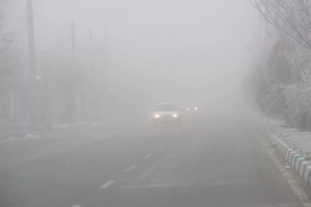 ببینید | مه شدید در بزرگراه‌های شمالی تهران