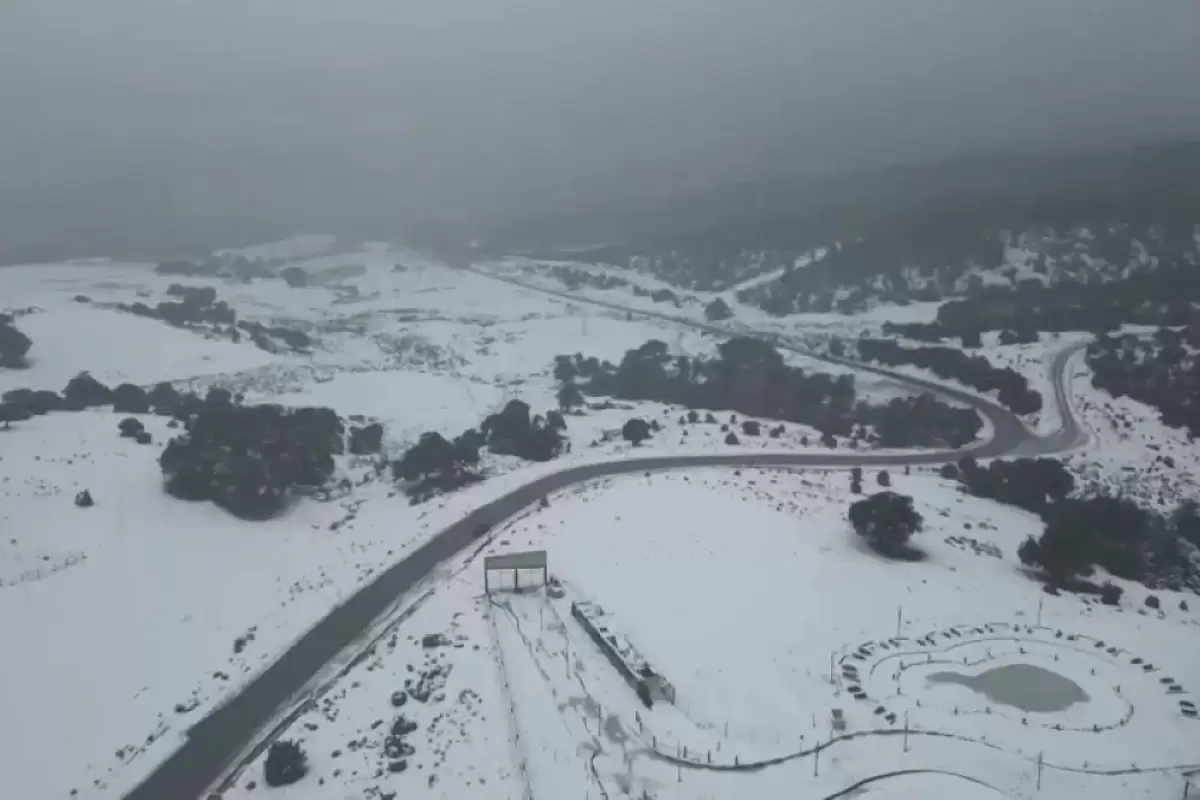 (ویدئو) بارش کم‌سابقه برف در الجزایر