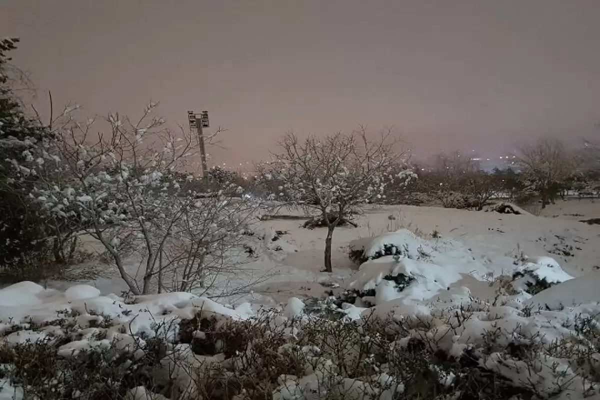 ببینید | تصاویری زیبا از بارش برف در الیگودرز لرستان