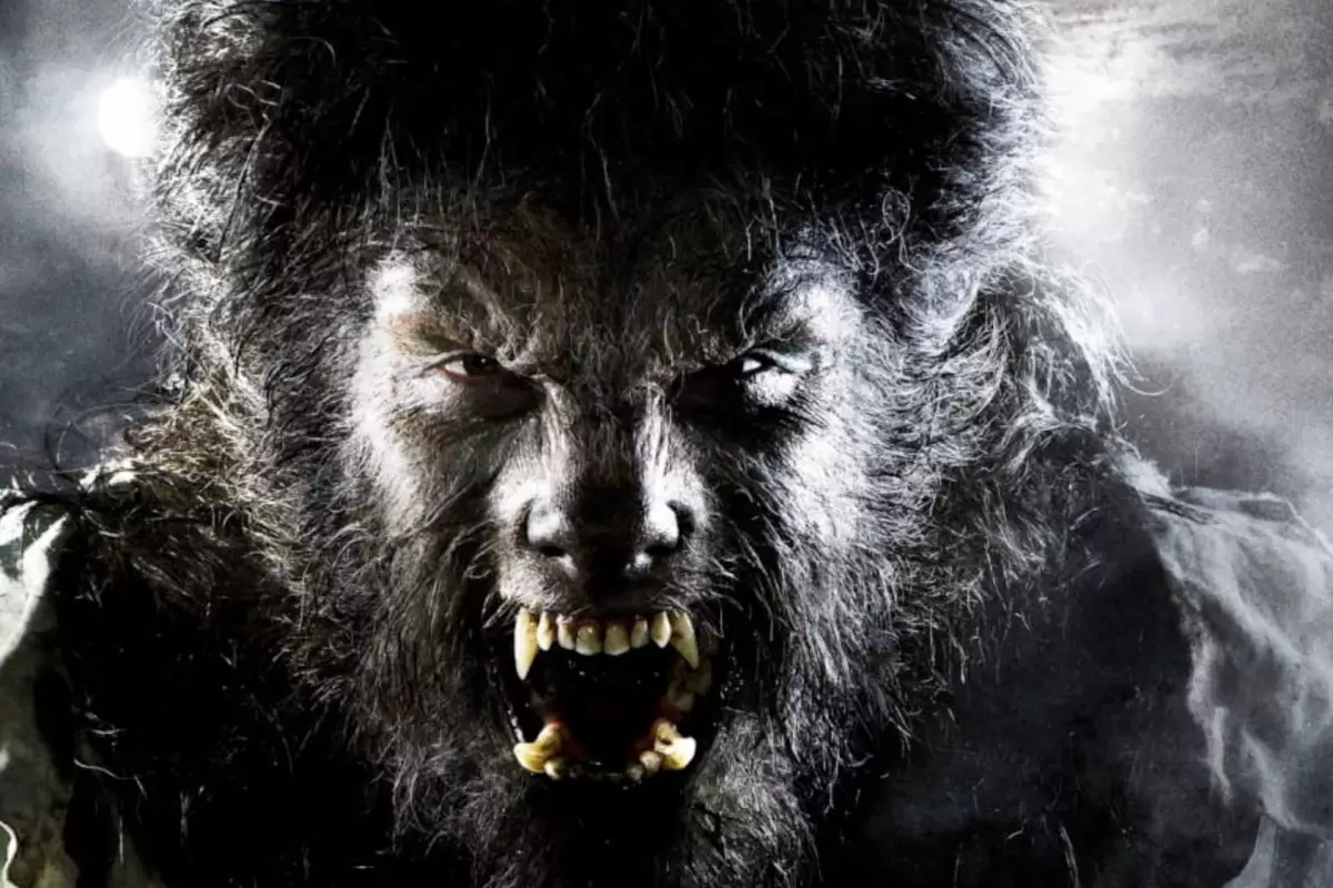 مراحل فیلمبرداری فیلم Wolf Man با انتشار اولین تصویر آغاز شد