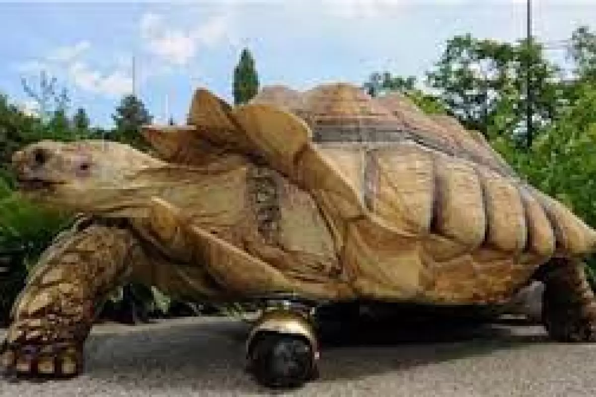 ماجرای کشف «ماتورین»، غول‌پیکرین لاک‌پشت در دنیای واقعی