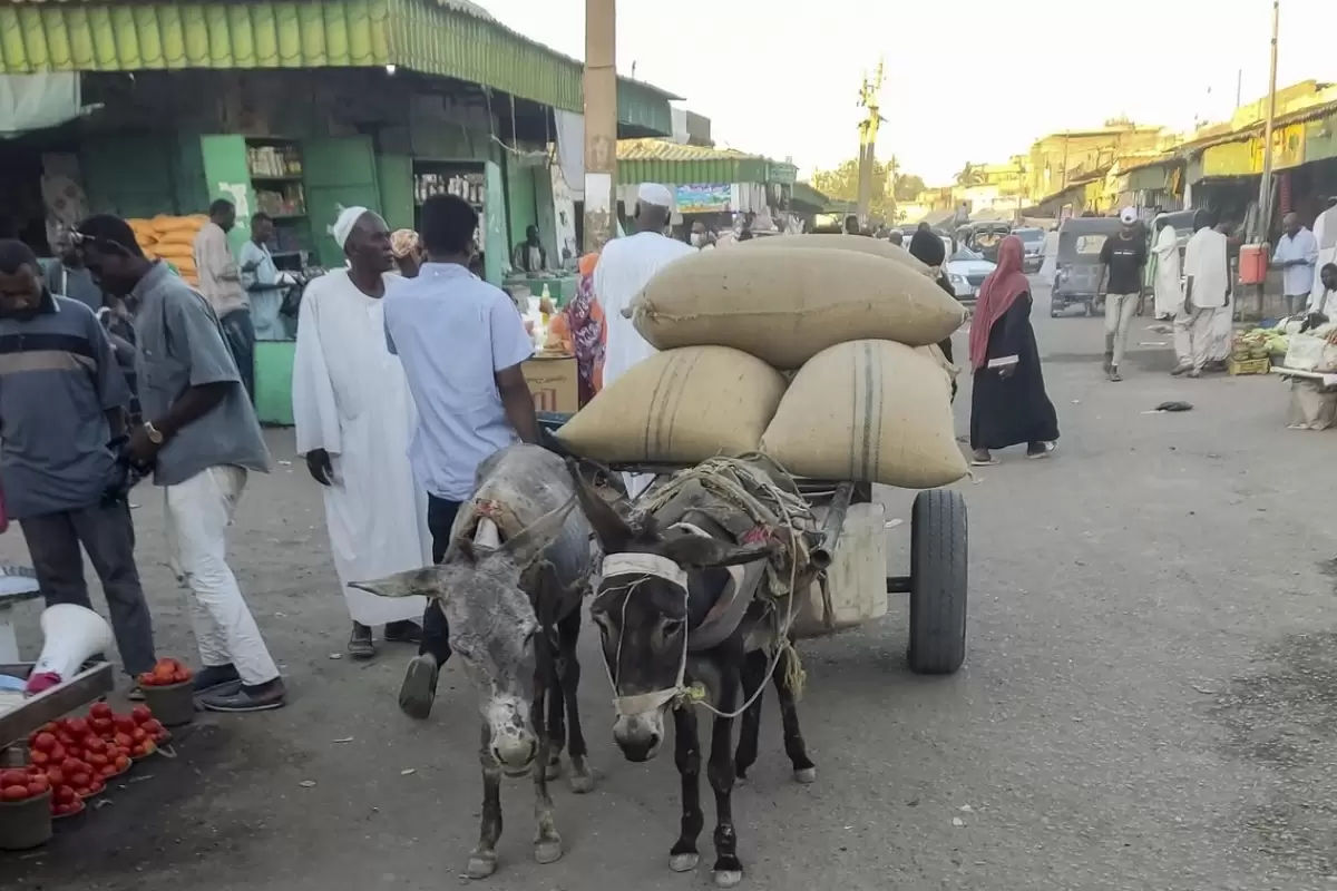 (ویدئو) افزایش قیمت الاغ در سودان در پی کمبود سوخت